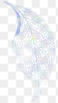 Holographic fittonia leaf design resource 