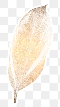 Golden dracaena recina leaf sticker overlay design element