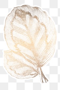 Rose painted calathea leaves sticker overlay design element