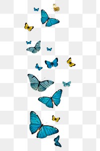 Vintage Common Blue butterflies illustrations set