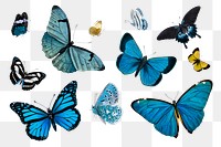 Vintage Common Blue butterflies illustration design element set