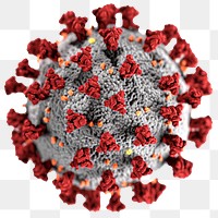 Ultrastructural illustration of coronavirus transparent png