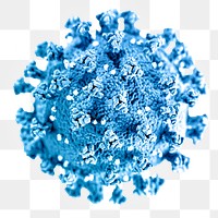 Ultrastructural illustration of coronavirus transparent png