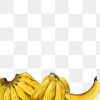 Hand drawn natural fresh banana border