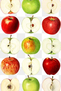 Hand drawn fresh apple patterned background