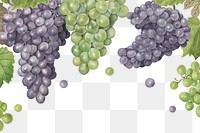 Hand drawn natural fresh grape frame