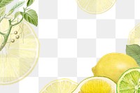 Hand drawn natural fresh lemon frame