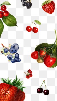 Hand drawn mixed berries patterned background