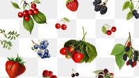 Hand drawn mixed berries patterned background