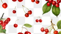 Hand drawn natural fresh red cherry patterned background