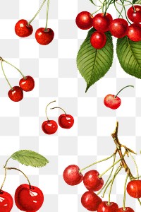 Hand drawn natural fresh red cherry patterned background