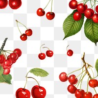 Hand drawn natural fresh red cherry patterned background