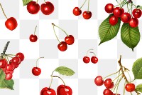 Hand drawn natural fresh red cherry patterned background