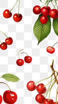 Hand drawn natural fresh red cherry patterned background