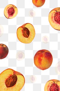 Hand drawn natural fresh peach patterned layer