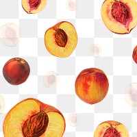 Hand drawn natural fresh peach patterned layer