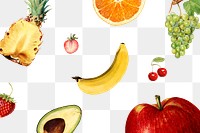 Hand drawn mixed tropical fruit design element