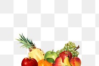 Hand drawn mixed tropical fruits border design element