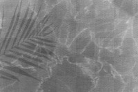 Gray palm leaf shadow background design element