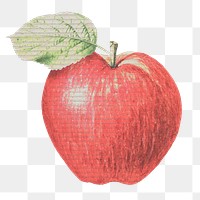 Red paper textured apple illustration design element 