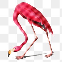  Pink flamingo halftone style design element