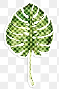 Green monstera leaf halftone style design element sticker