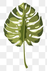 Green monstera leaf design element llustration