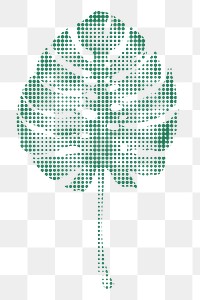 Monstera leaf halftone style design element