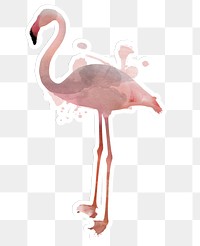 Pink flamingo illustration watercolor style 