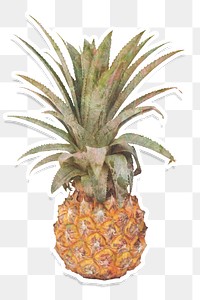 Yellow pineapple sticker design element