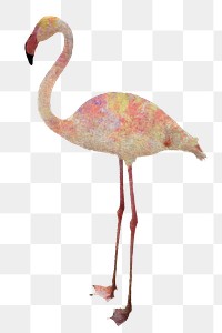 White flamingo bird design element