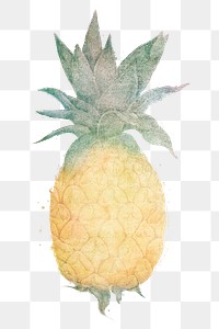 Yellow pineapple watercolor style design element