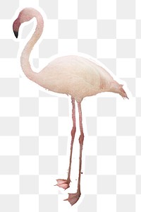 White flamingo bird sticker design element