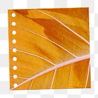 Yellow leaf patterned notepaper design element