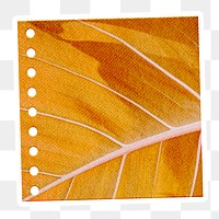Yellow leaf patterned notepaper with white border design element