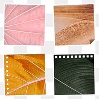 Natural leaf patterned notepaper with white border set design element