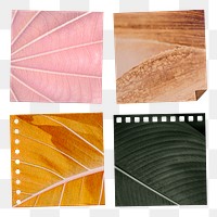 Natural leaf patterned notepaper set design element