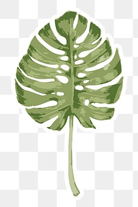 Vectorize monstera leaf sticker with white border