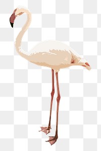 Vectorized white flamingo bird sticker design element