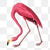 Vectorized pink flamingo bird sticker with white border design element