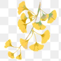 Vectorized branch of yellow ginkgo leaves design element