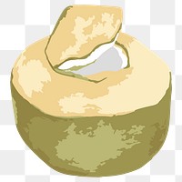 Vectorized coconut fruit design element