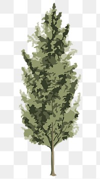 Vectorized spruce tree sticker overlay design element 