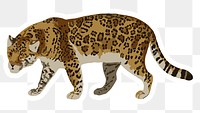 Vectorized jaguar sticker overlay with a white border design element