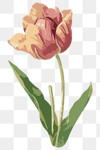 Vectorized tulip flower sticker overlay design element 