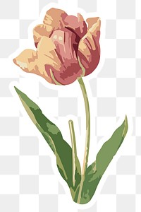 Vectorized tulip flower sticker overlay with a white border design element