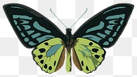 Vectorized butterfly sticker overlay design element 
