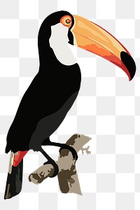Vectorized toucan bird sticker overlay design element 