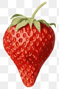 Vectorized strawberry fruit sticker overlay design element 