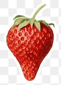 Vectorized strawberry fruit sticker overlay with a white border design element